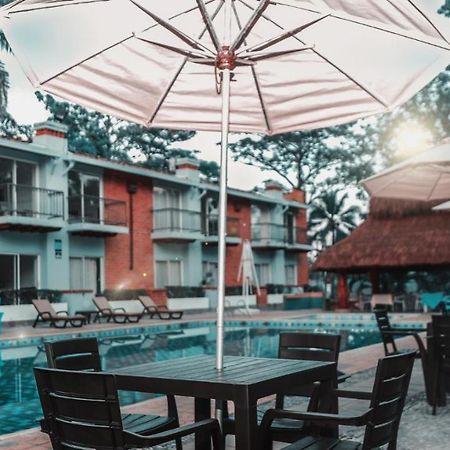 Hotel Y Restaurante Meson Del Gitano Caucasia Esterno foto